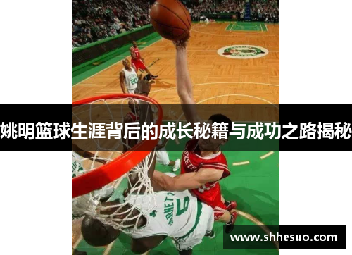 姚明篮球生涯背后的成长秘籍与成功之路揭秘